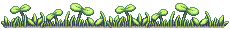 Border
