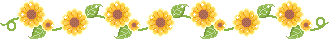 Border